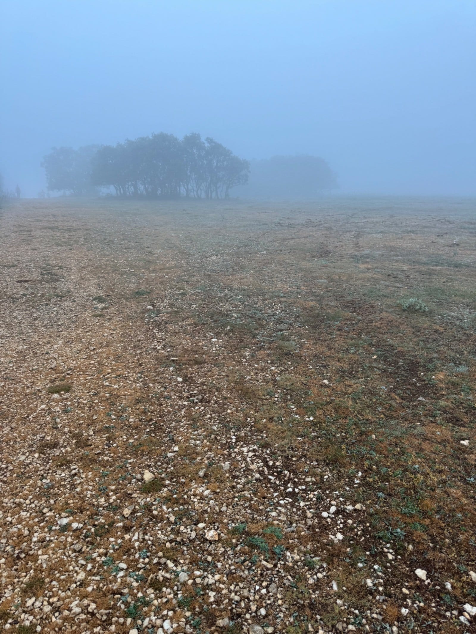 Foggy morning landscape near Atapuerca