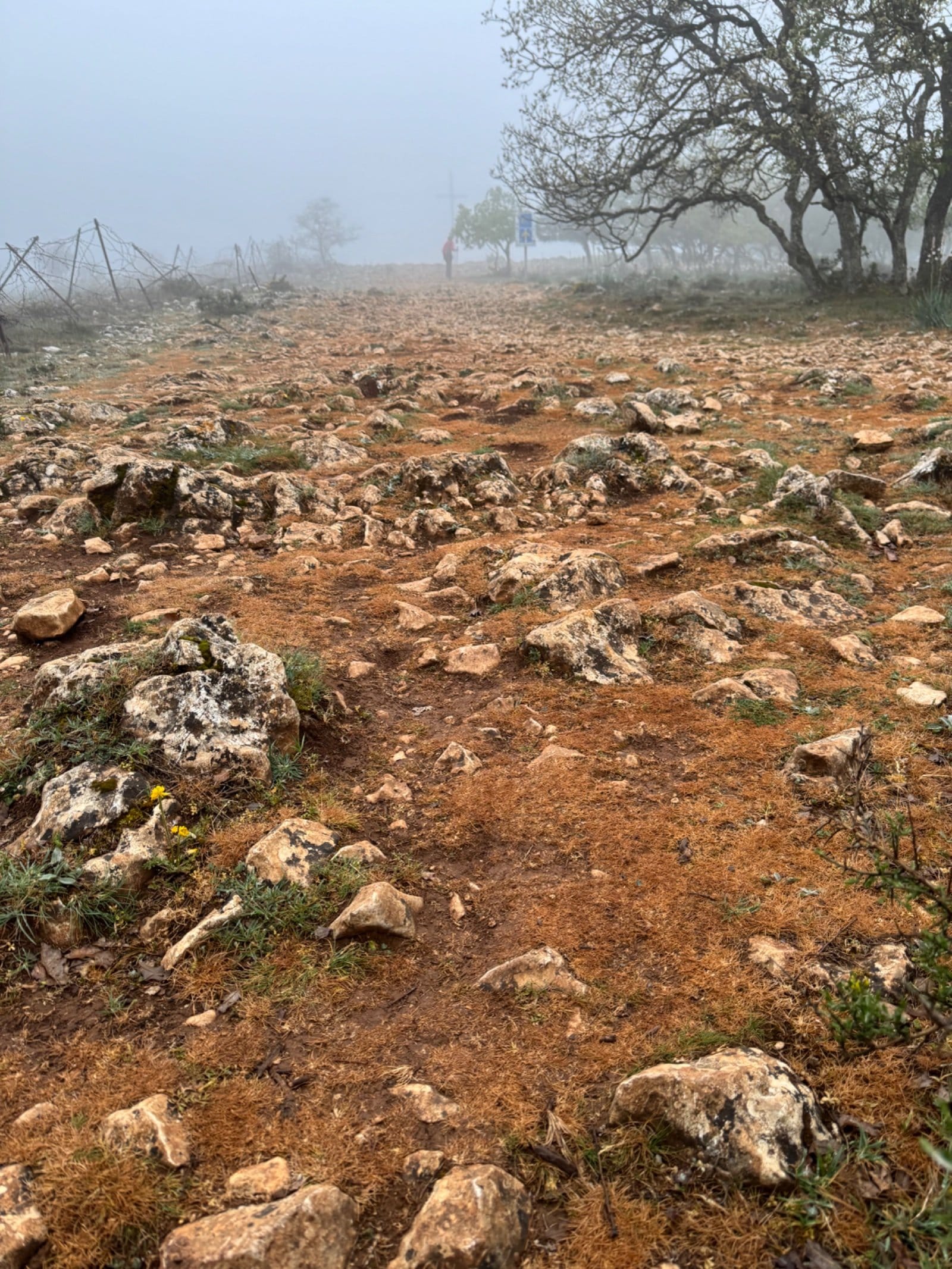 Rocky trail conditions on Atapuerca route