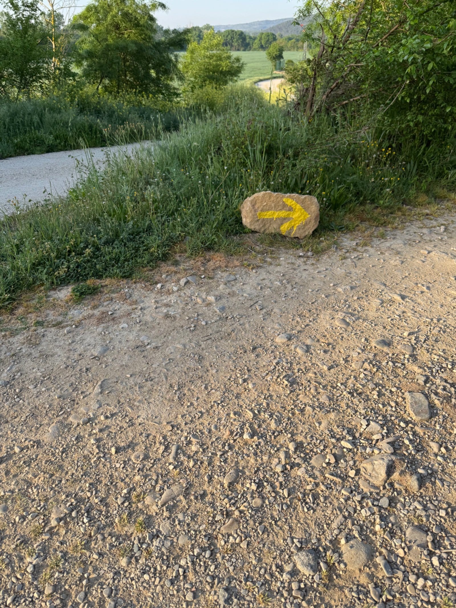 Yellow arrow painted on stone along Camino path