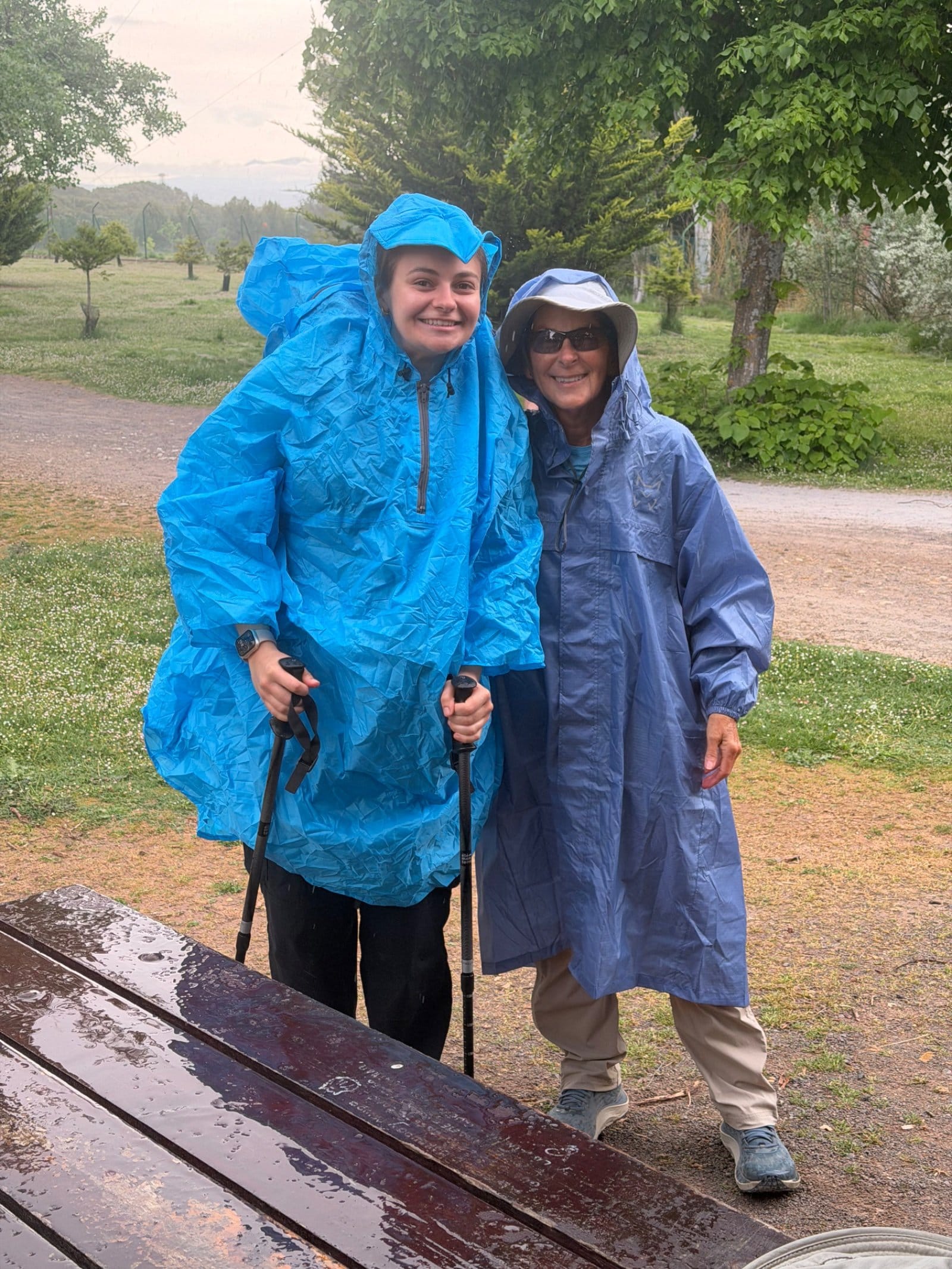 Pilgrims in rain gear during La Rioja downpour