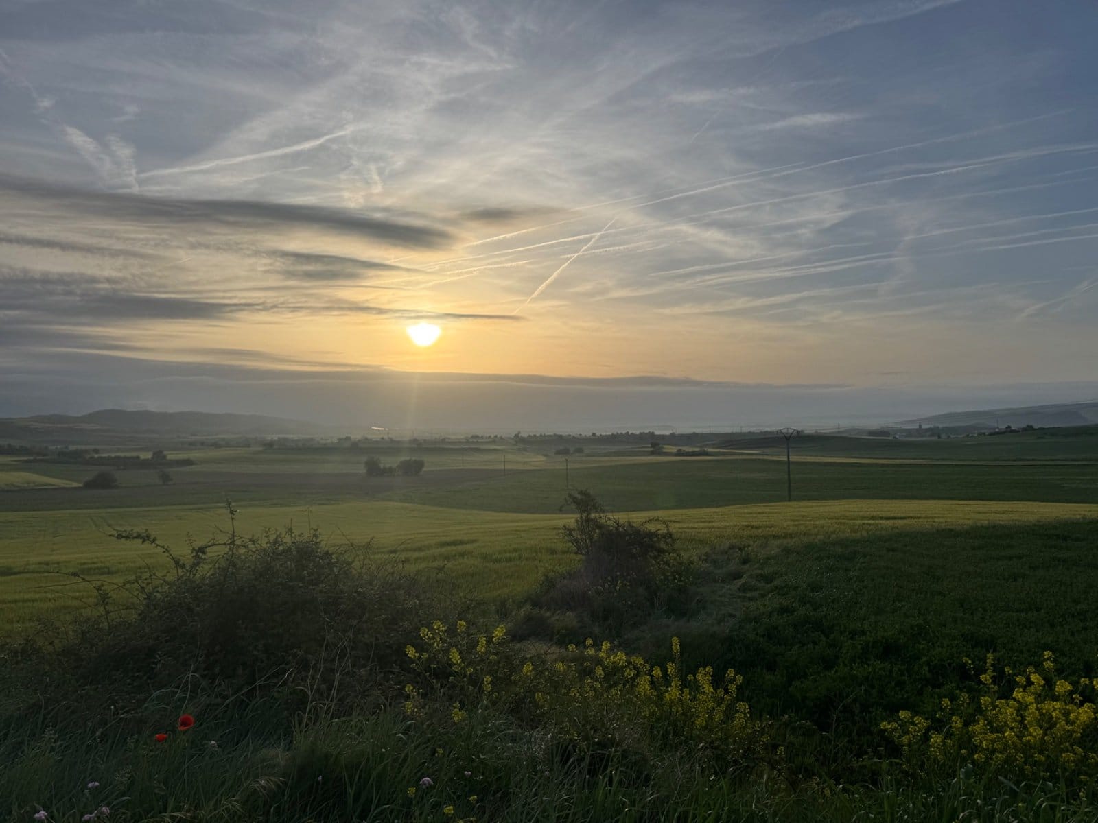 Dawn light over Rioja countryside fields