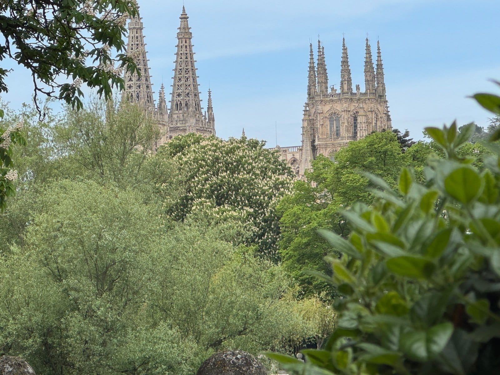 Burgos Cathedral spires through spring foliage