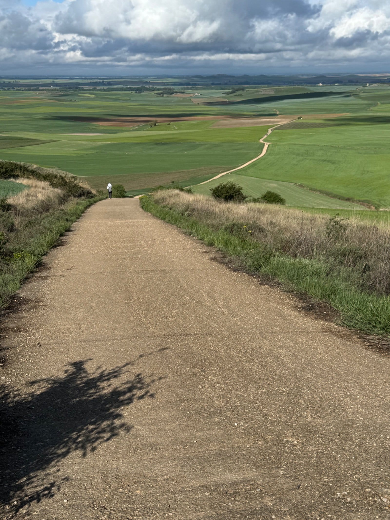 Endless Camino path across the Meseta plains