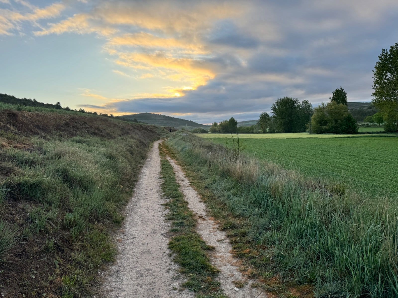 Dawn light over Camino path approaching Fromista