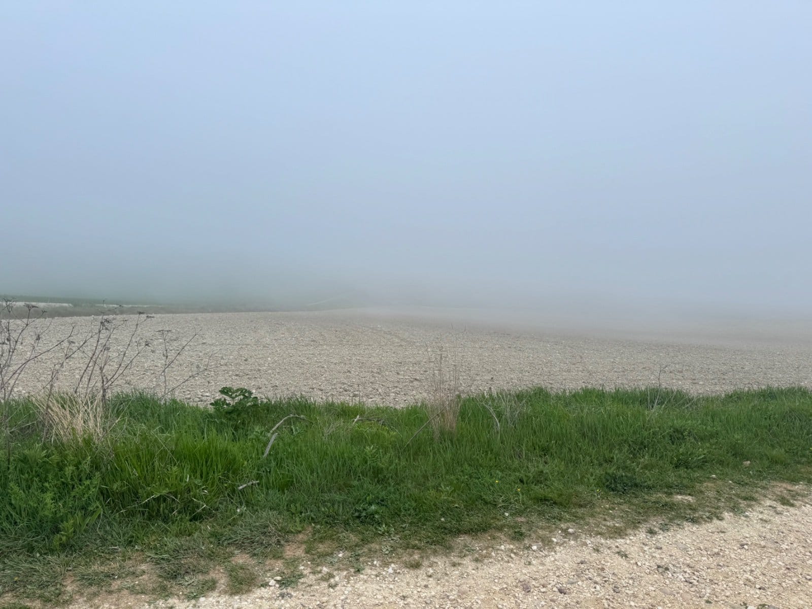 Foggy meseta landscape near Atapuerca