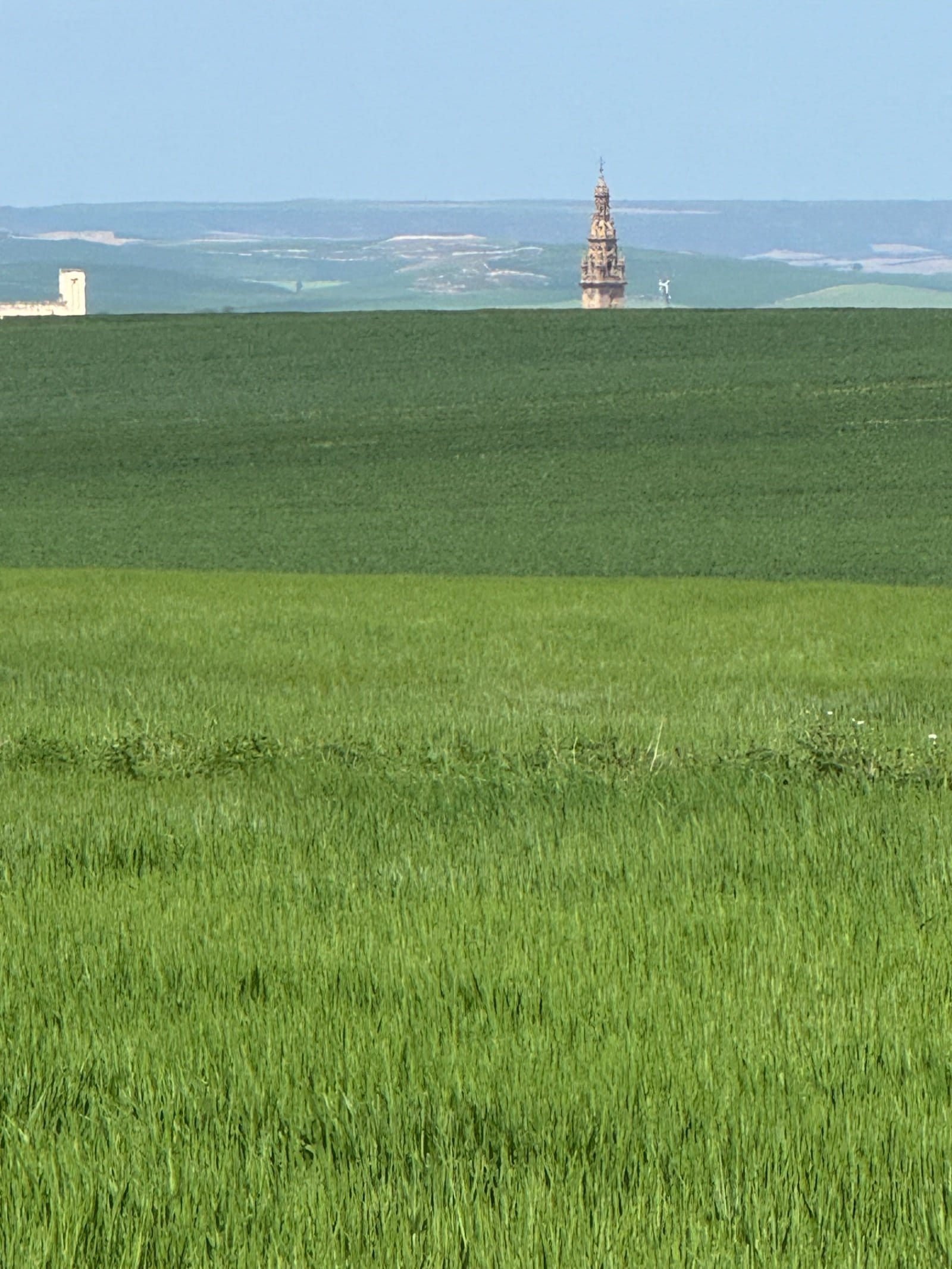 Bell tower across fields near Santo Domingo