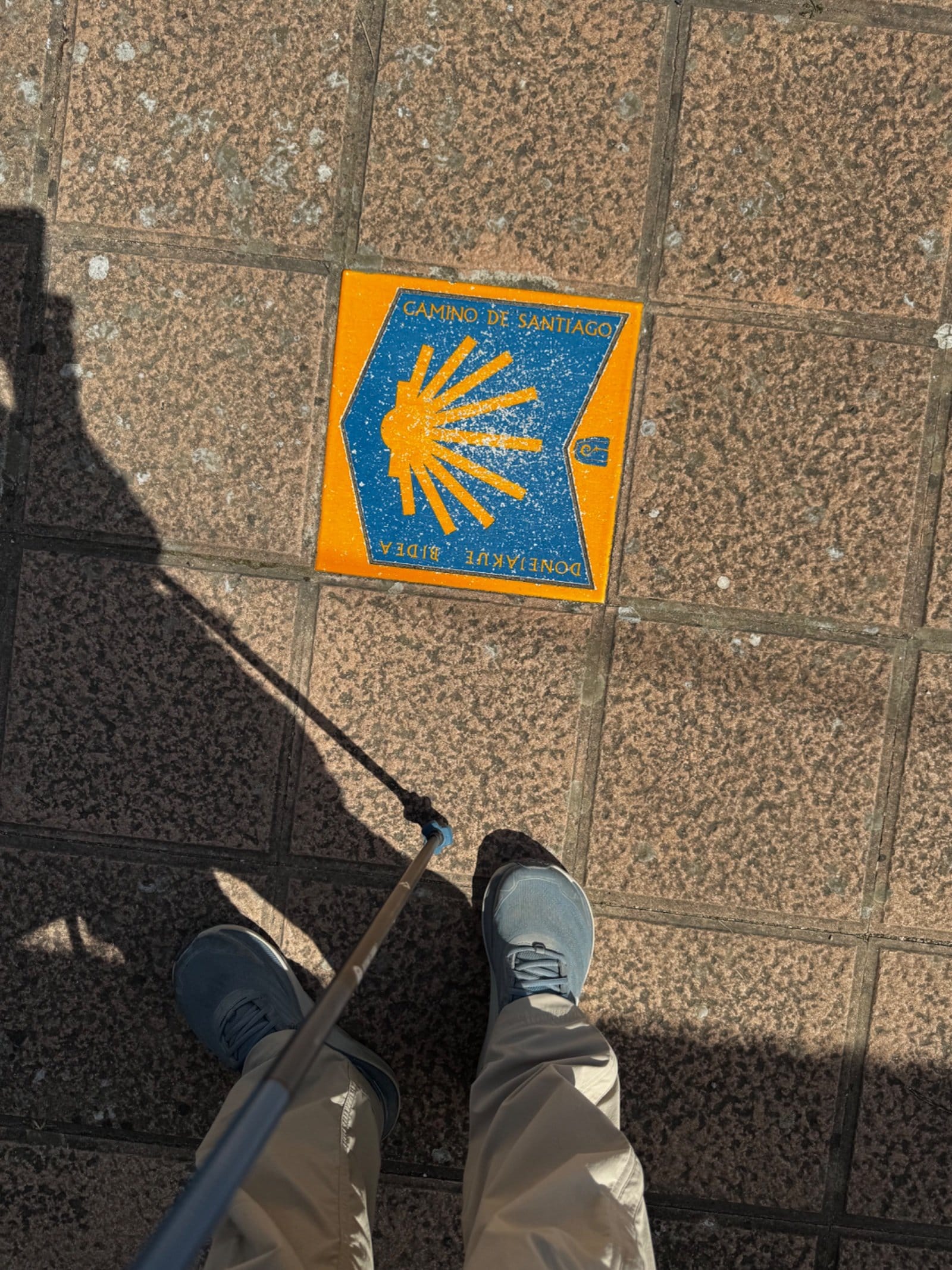 Camino de Santiago directional sign on city pavement