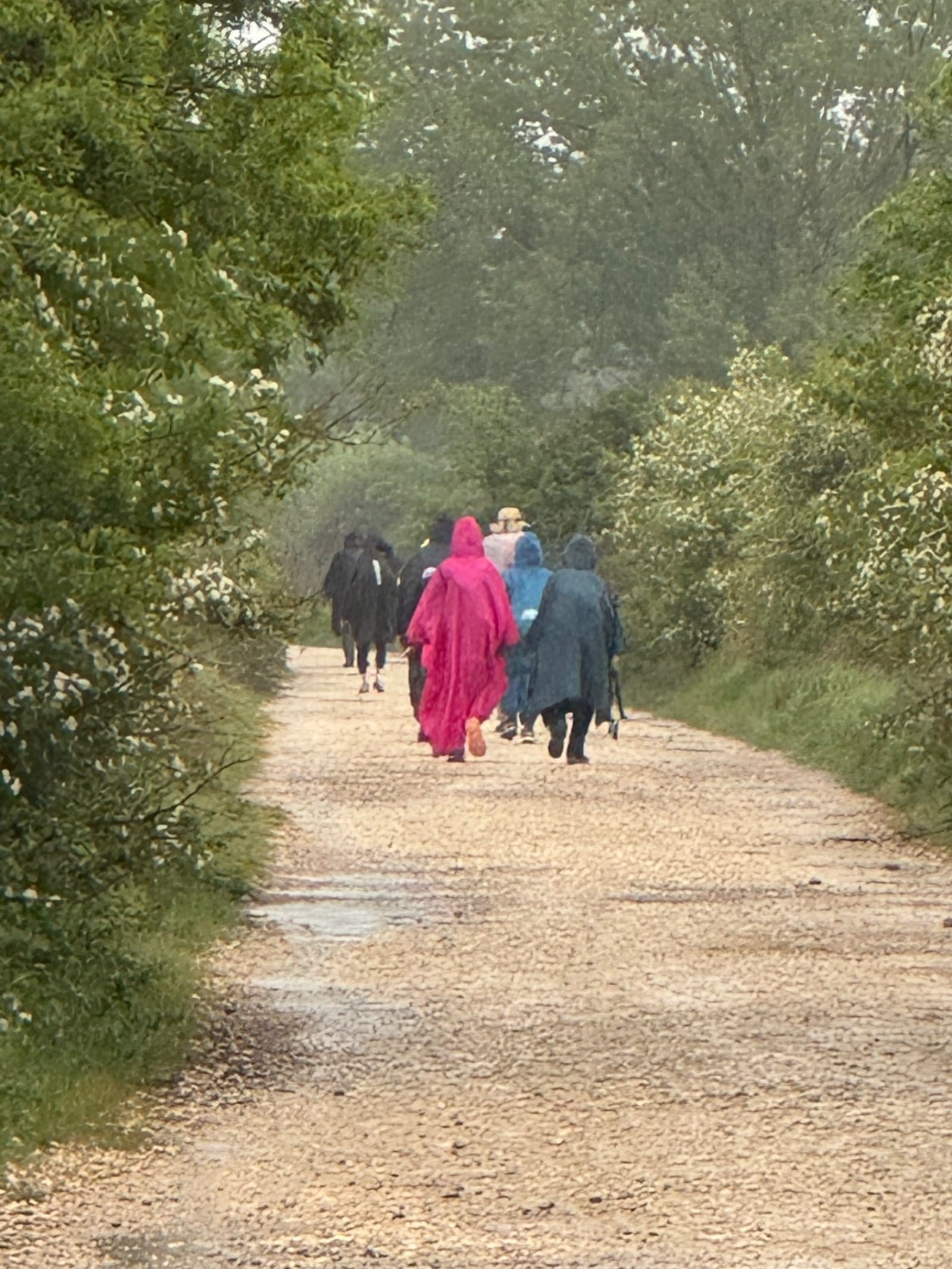 Pilgrims in colorful ponchos walking muddy Camino path