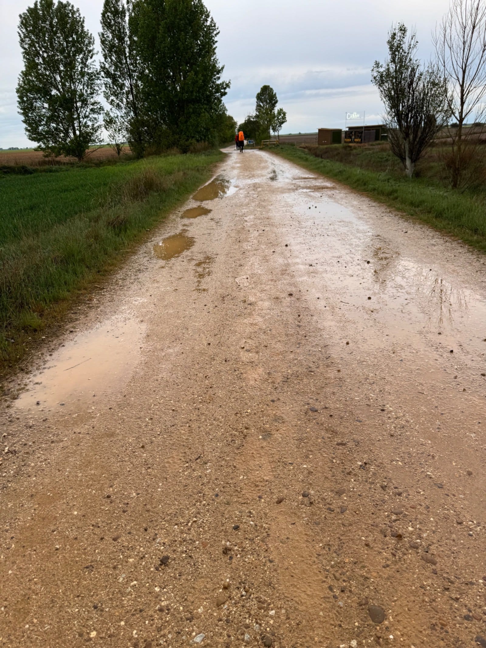 Muddy Camino path with puddles after heavy rain
