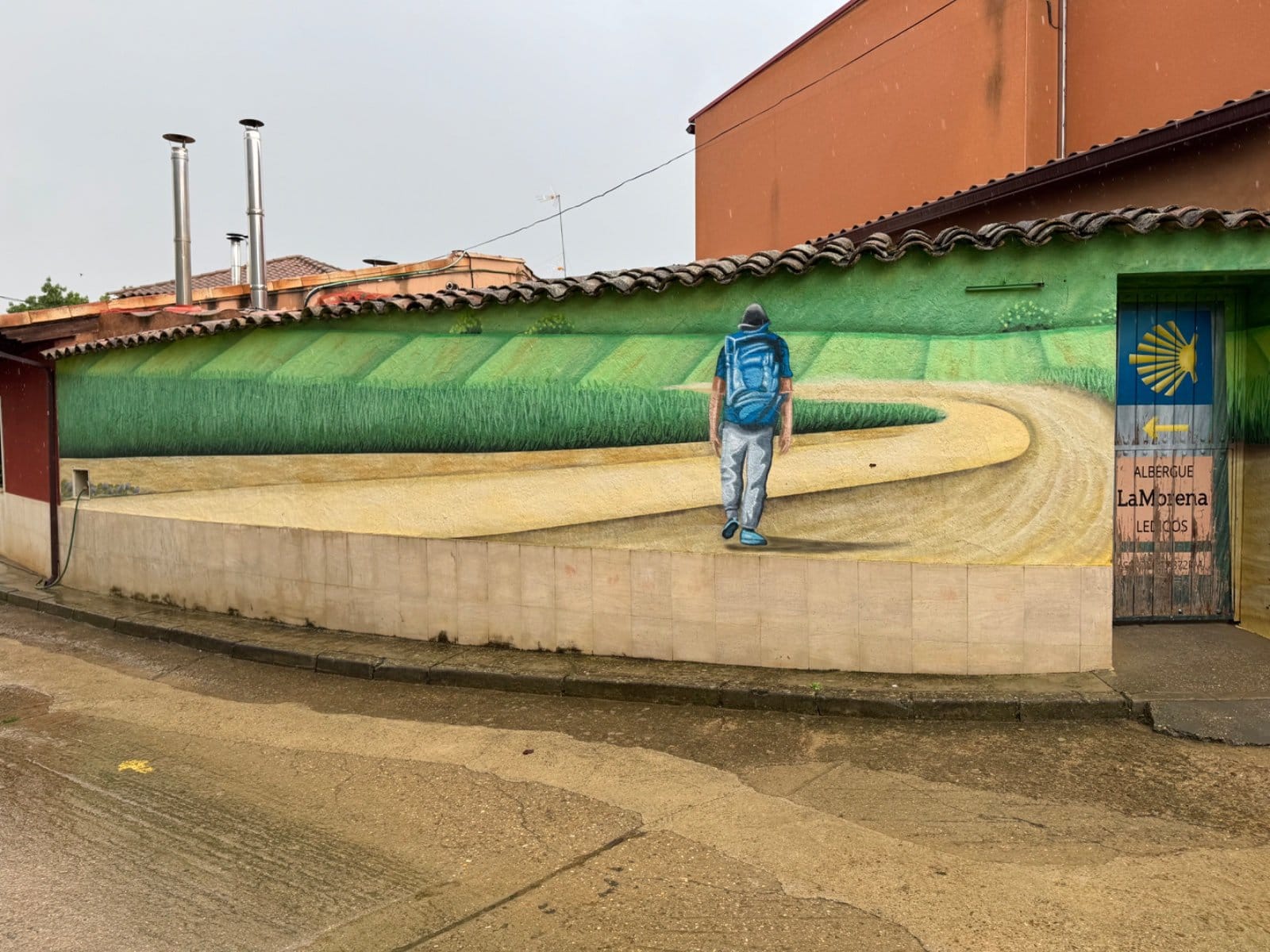 Pilgrim walking through green fields in La Morena