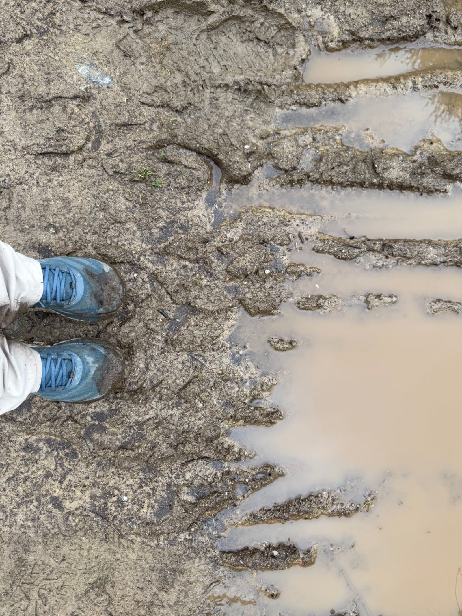 Muddy boots in deep trail puddles