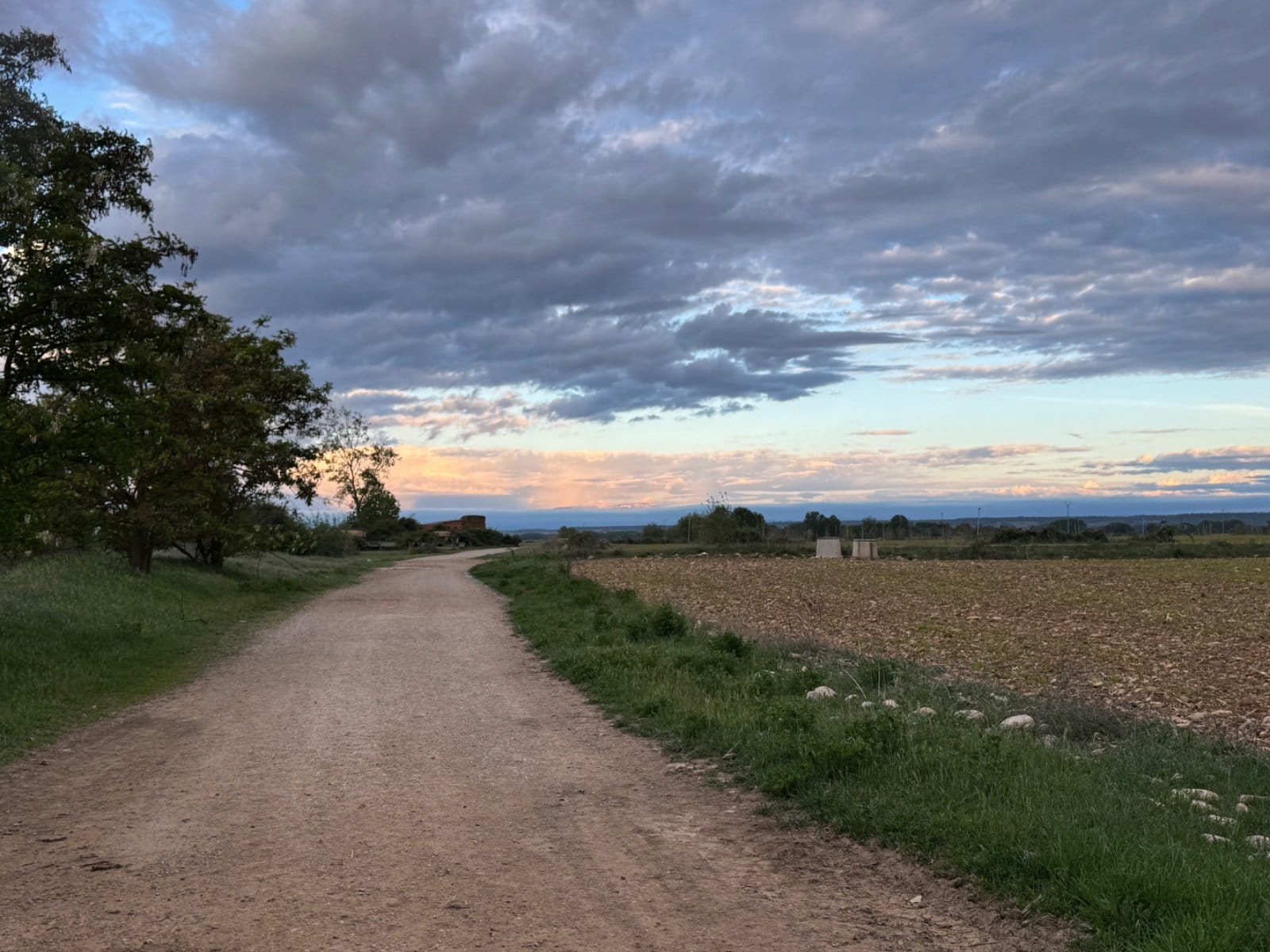 Evening path through farmland approaching Astorga