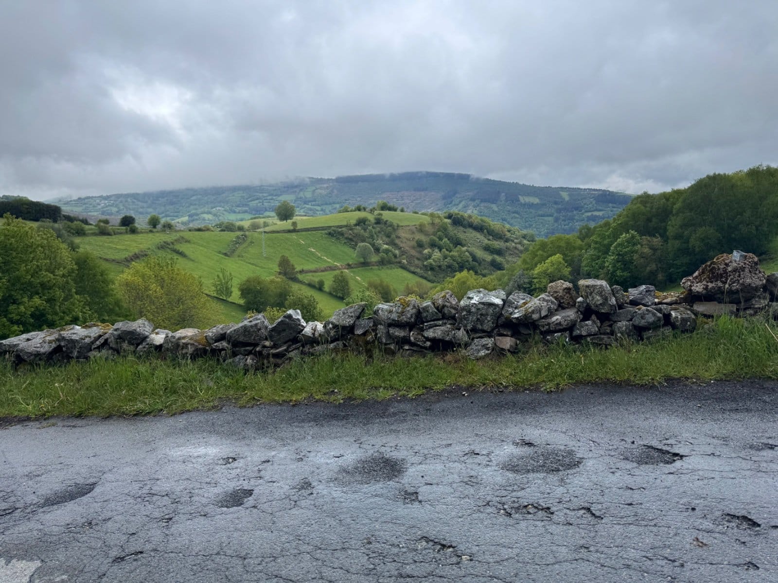 Stone walls bordering green Galician farmland