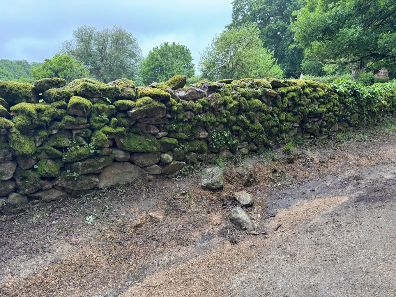 Moss-covered stone walls along Galician countryside path
