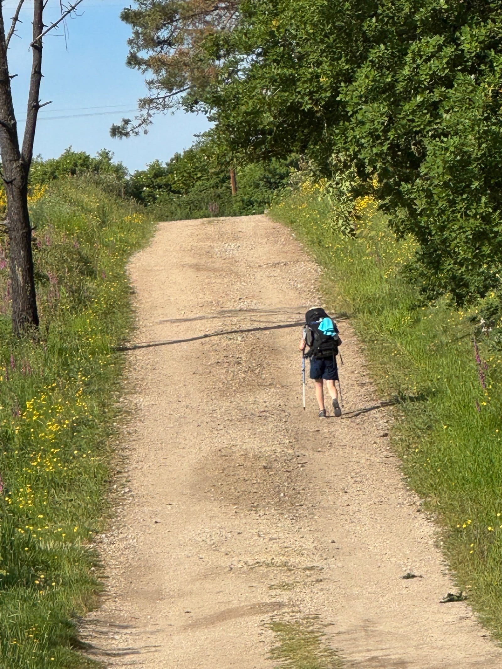 Pilgrim walking dirt path to Olveiroa