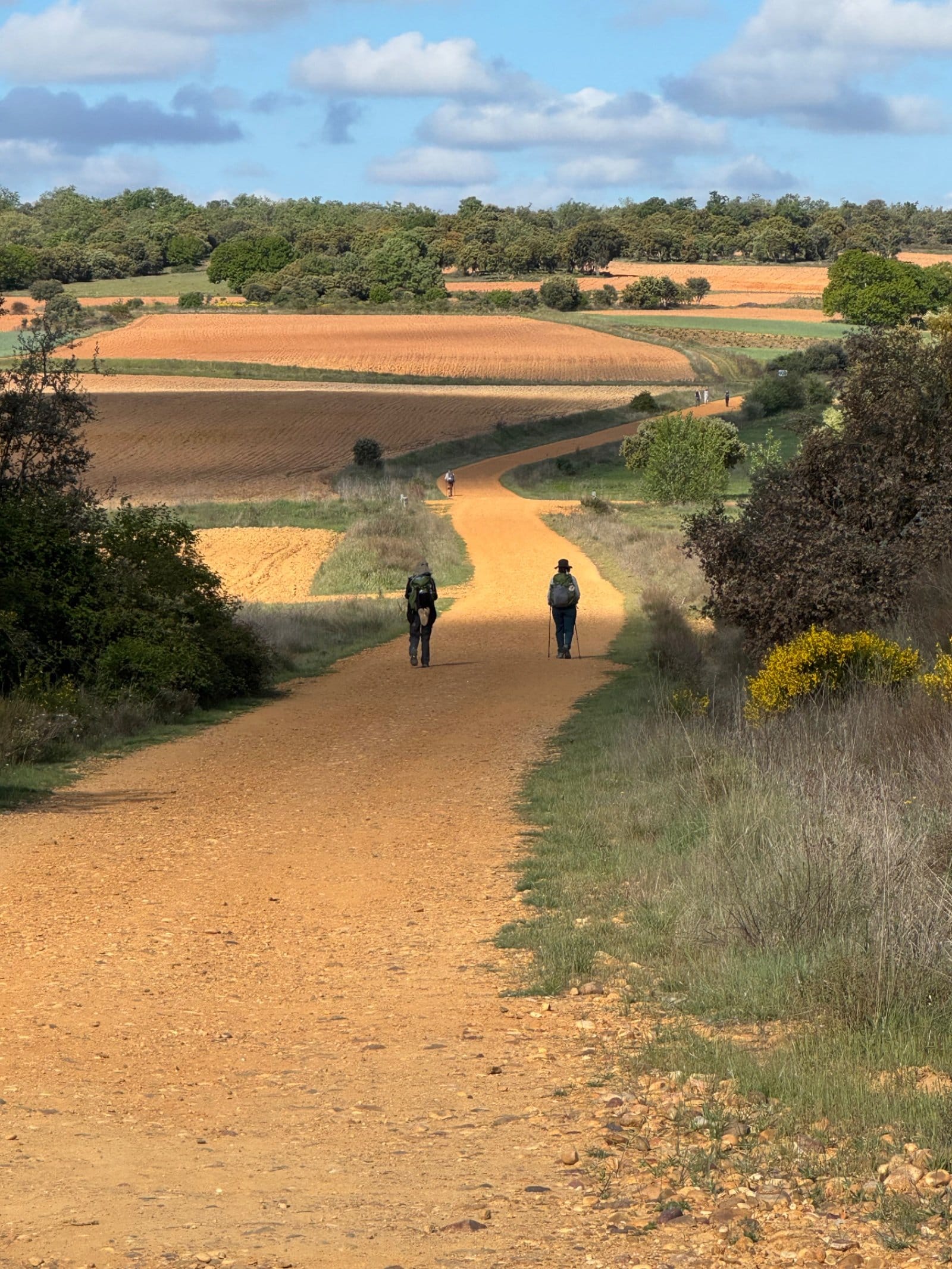 Pilgrims walking through rolling countryside near Astorga