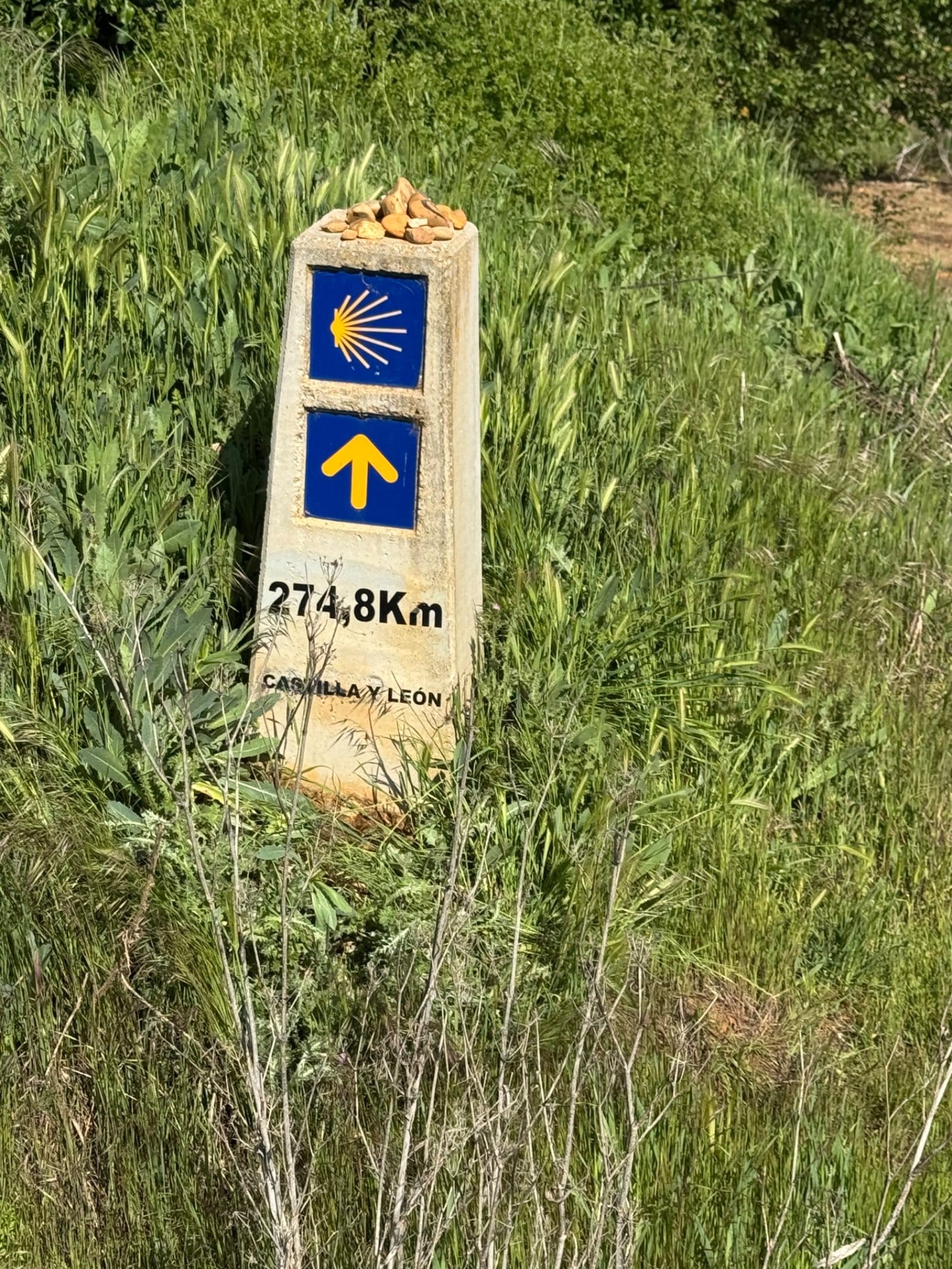 Camino distance marker showing 274.8 km to Santiago