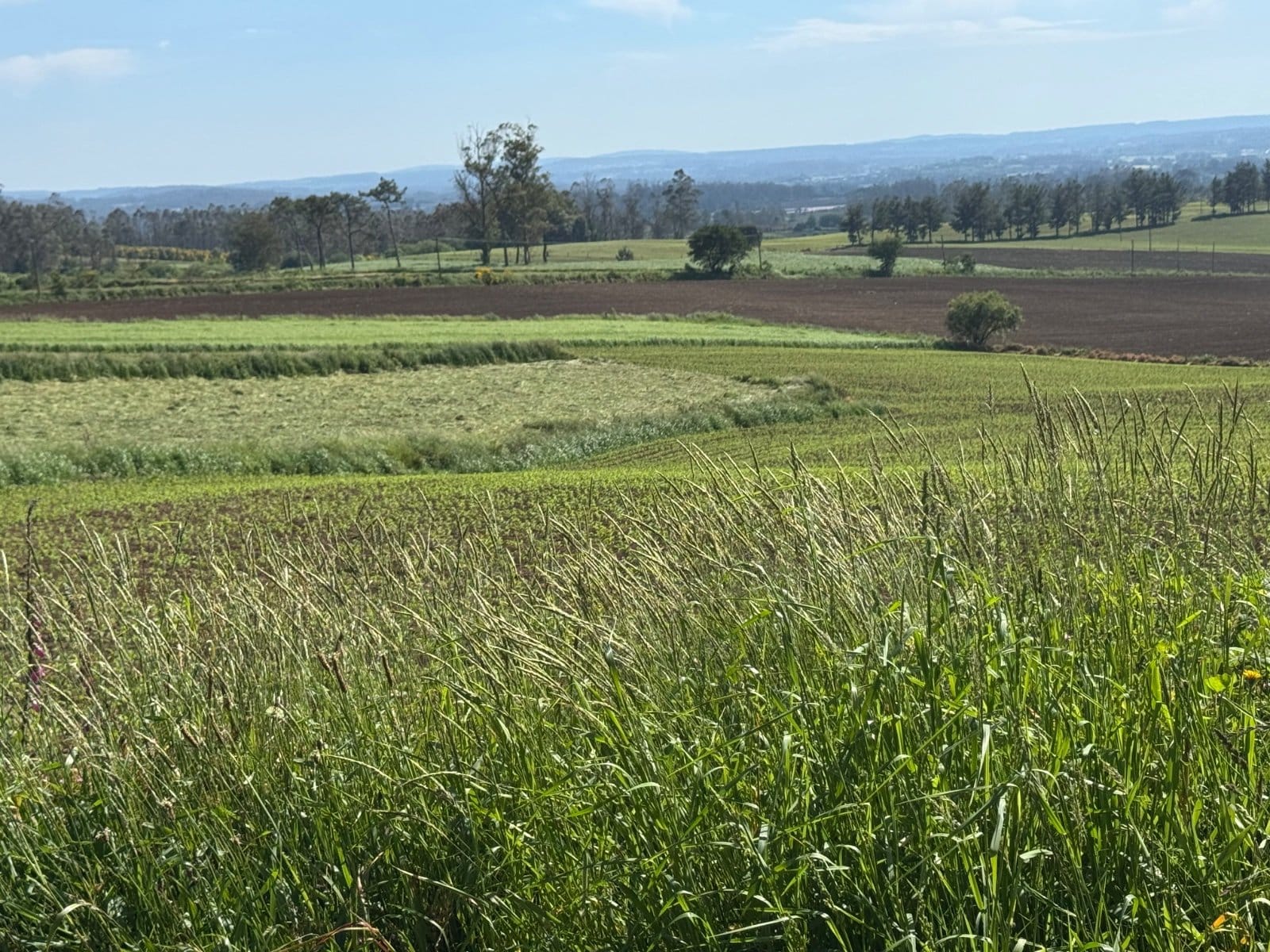 Farmland views approaching Costa da Morte