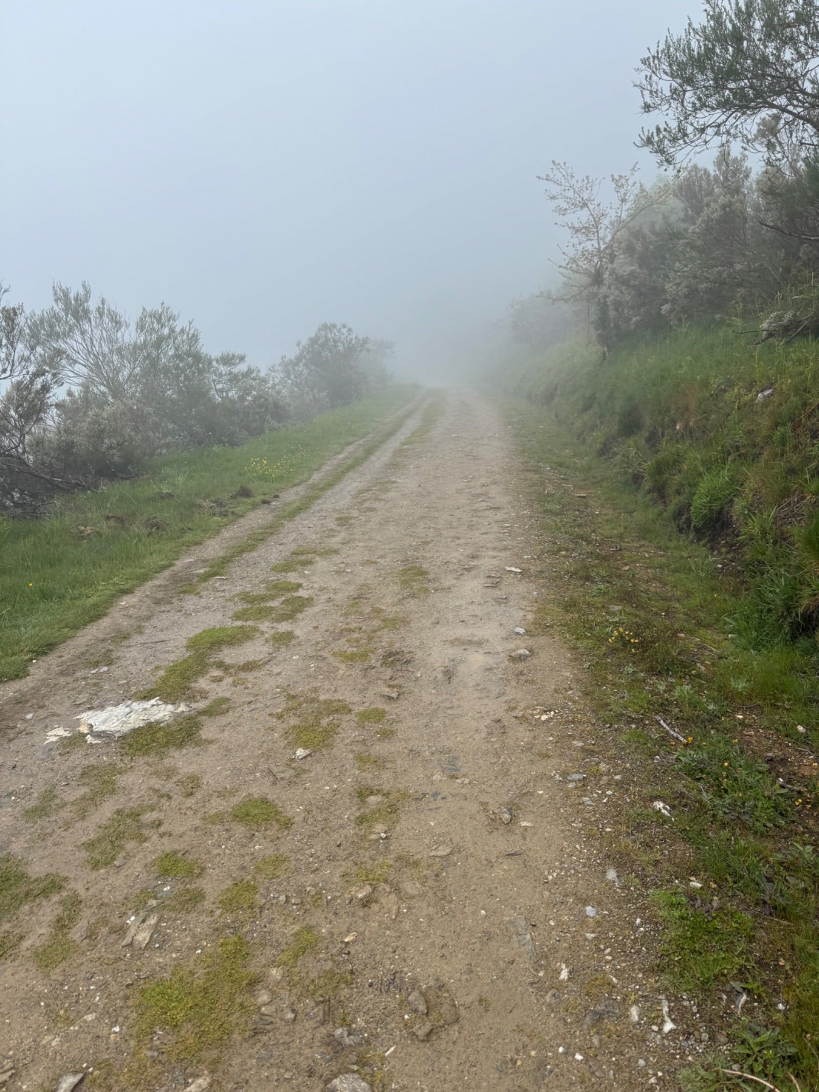 Misty dirt trail through Galician countryside