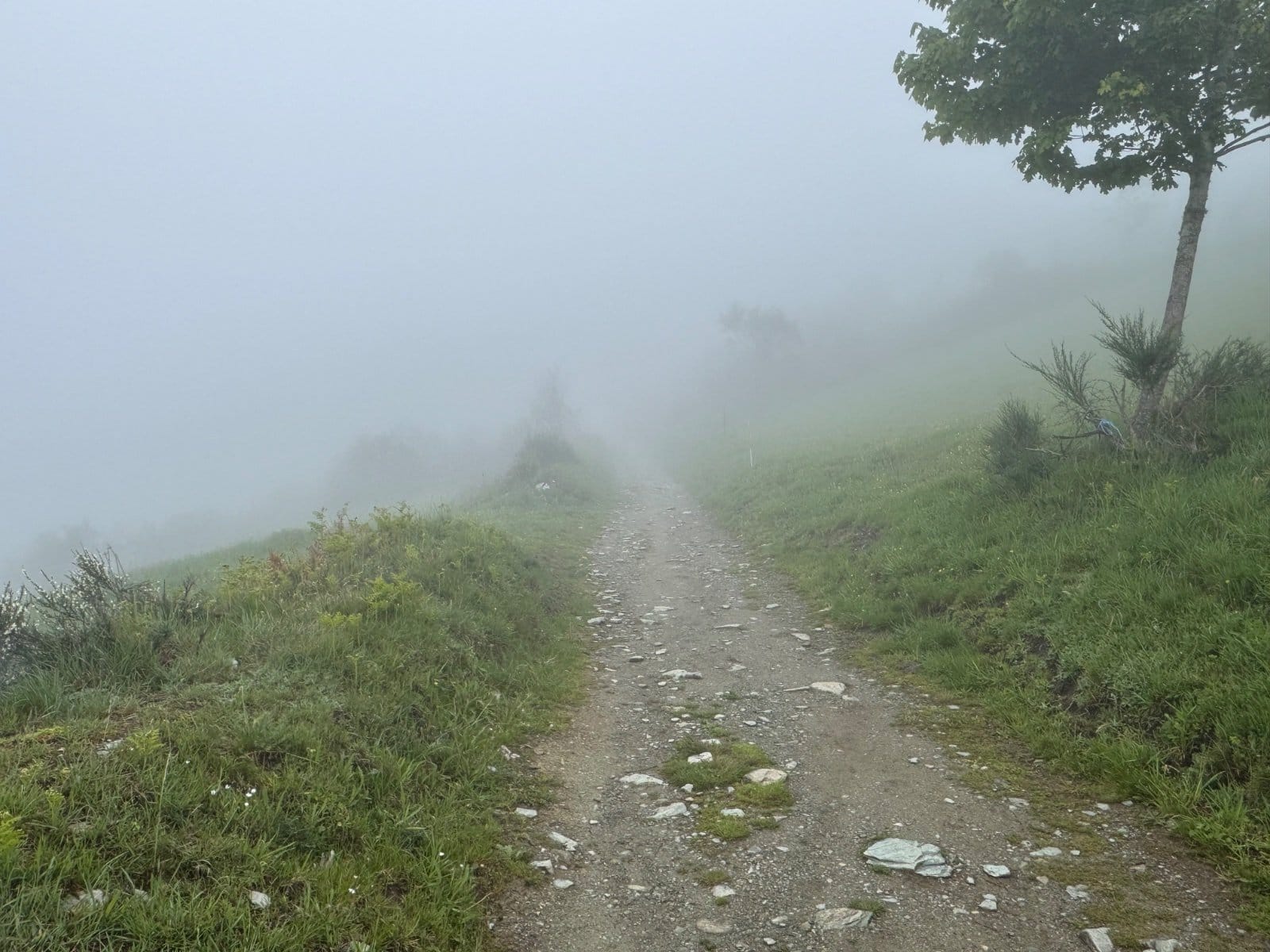 Foggy Camino path disappearing into clouds