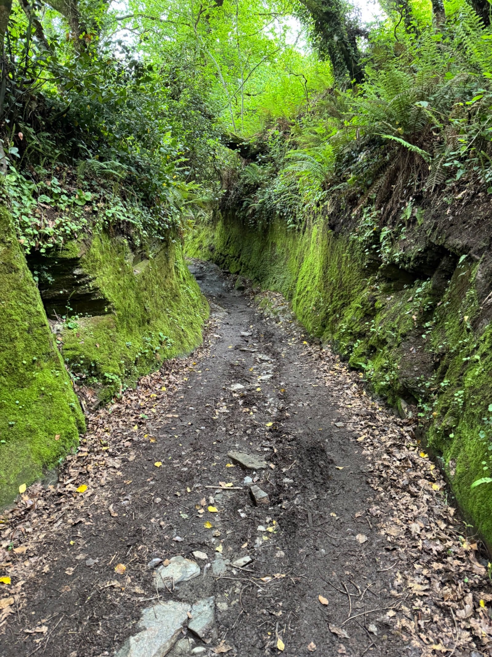 Moss-lined ancient path near Samos