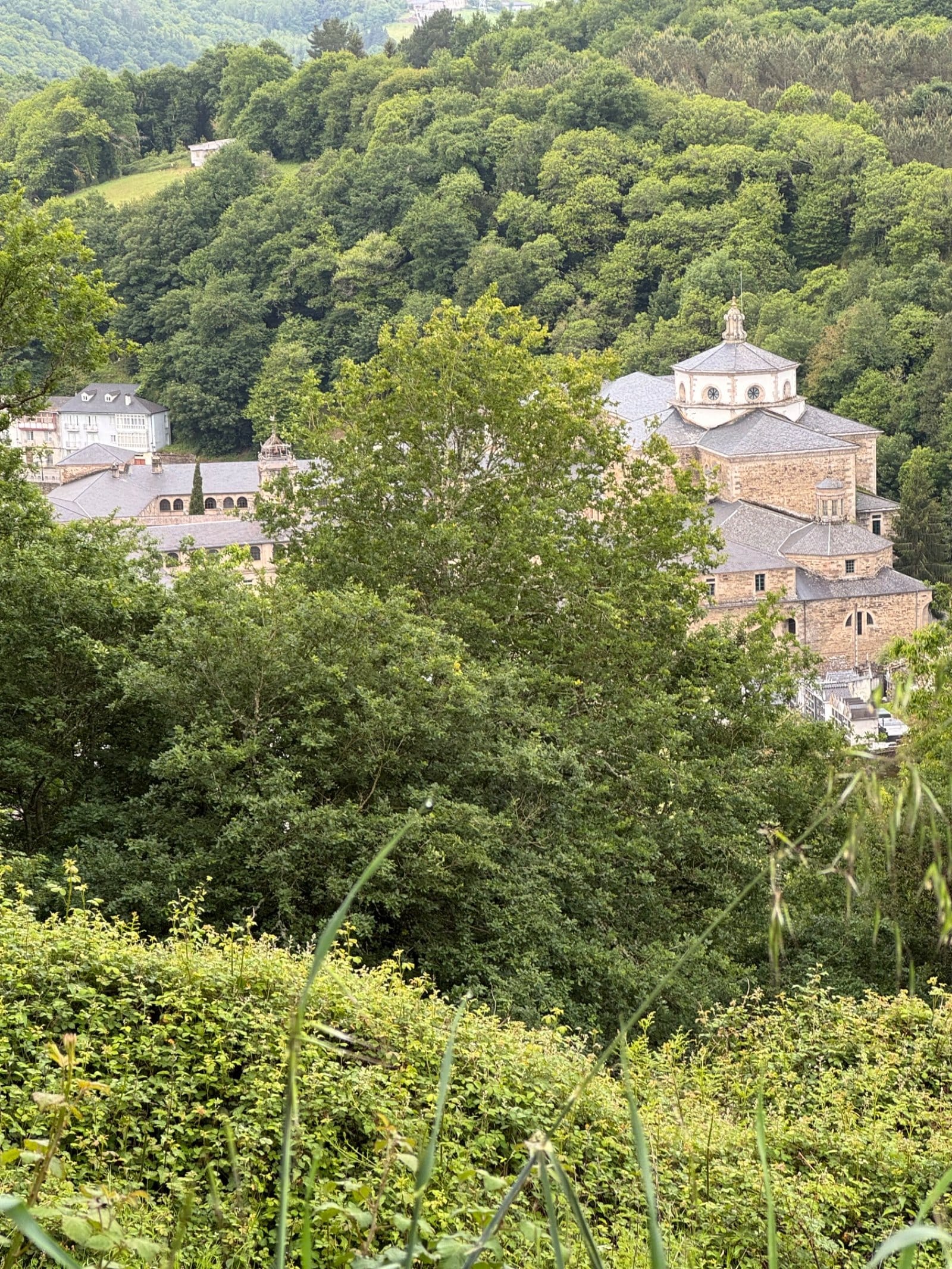 Real Abadía de Samos from forested hillside