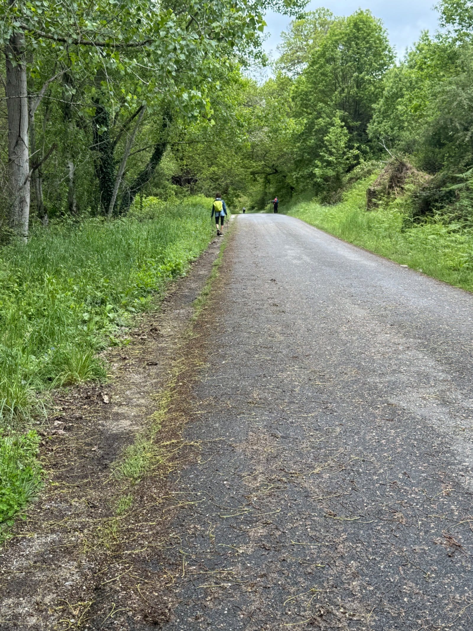 Pilgrims walking on quiet country road