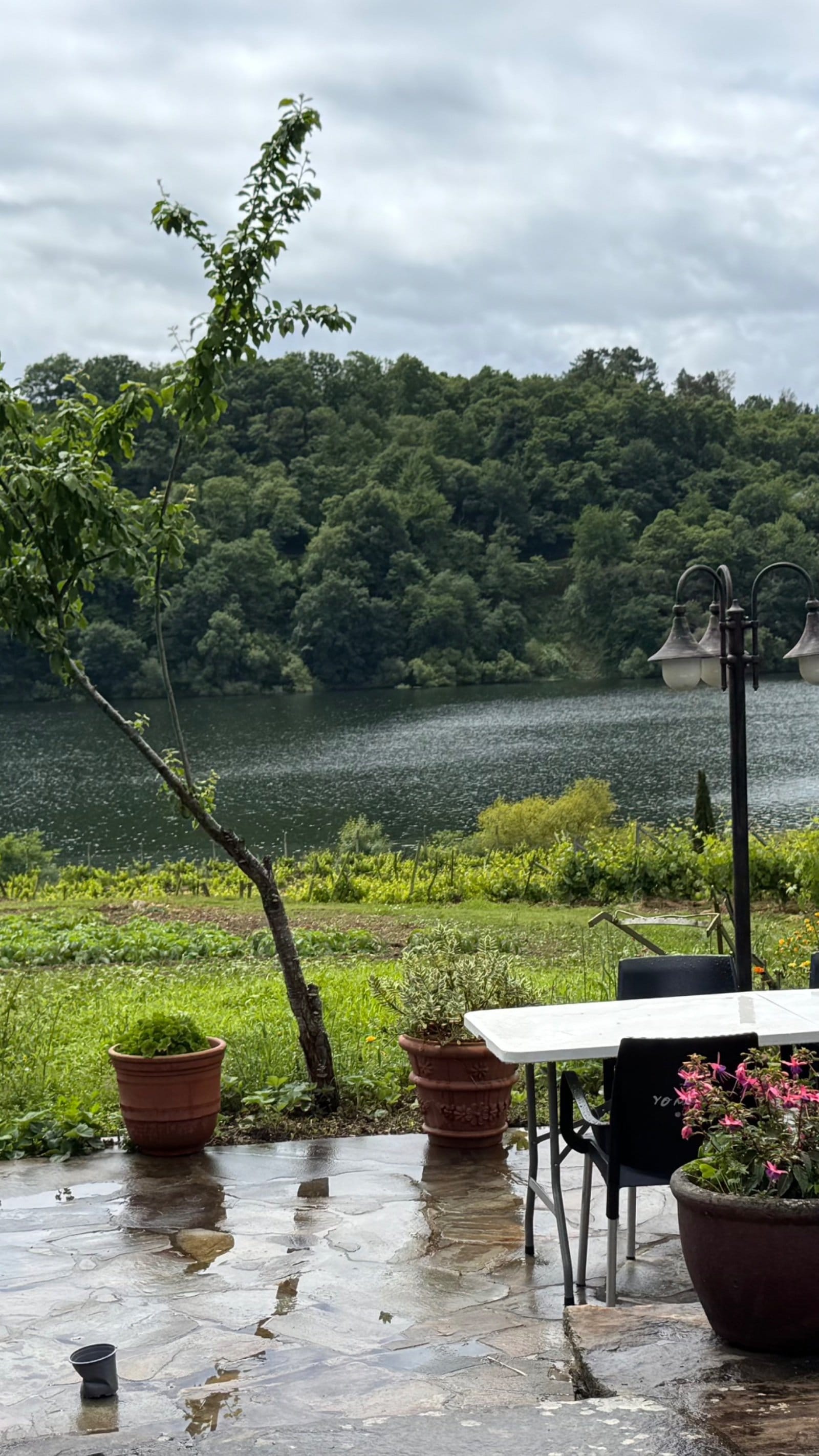 Terrace view of Miño River from accommodation near Portomarín