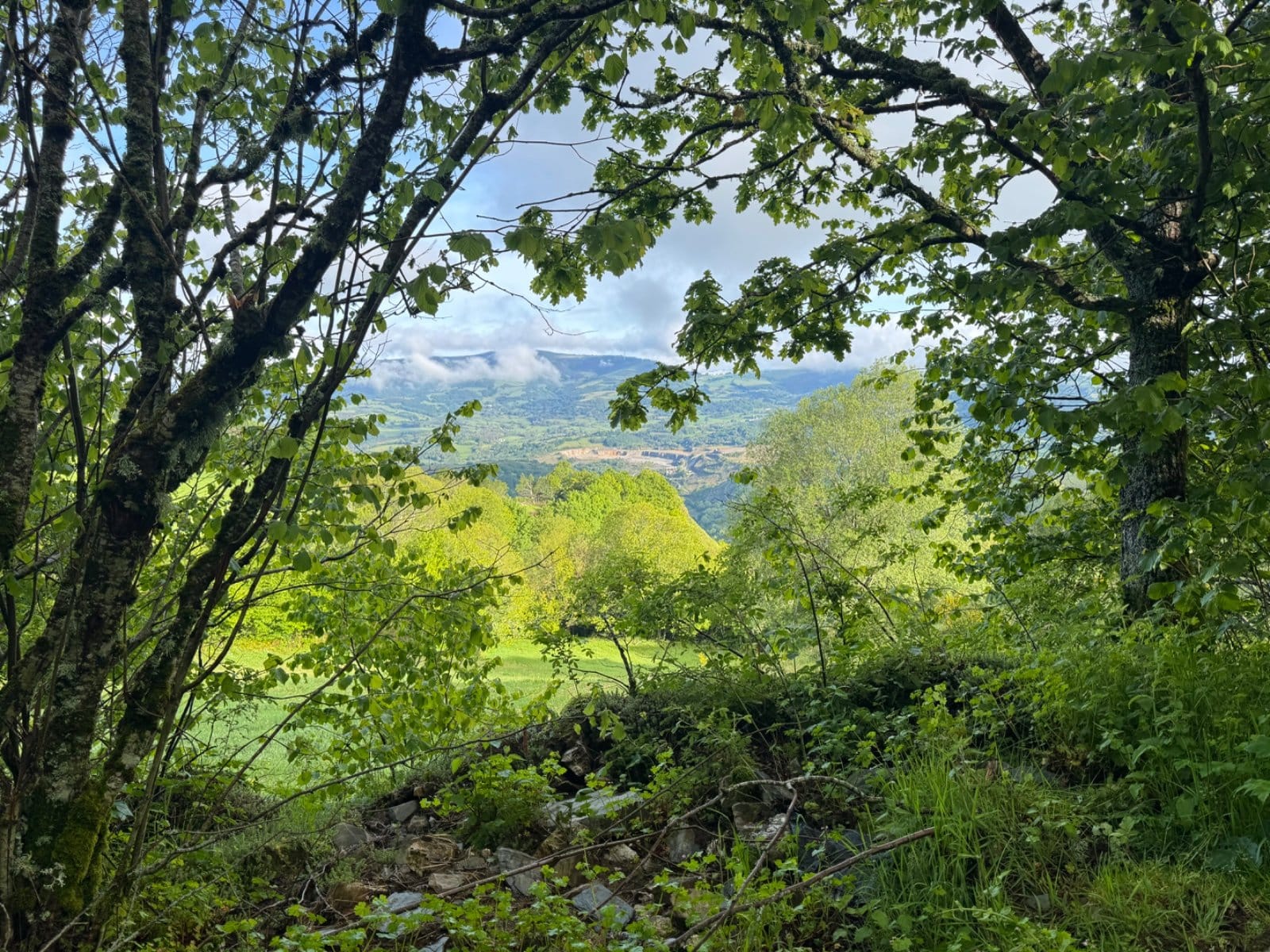 Green mountain valley view near Triacastela