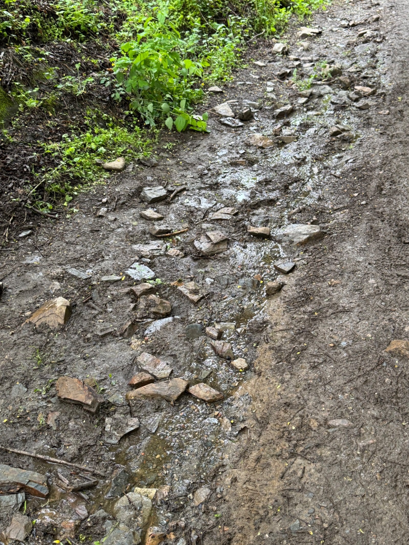 Muddy rocky trail conditions after rain