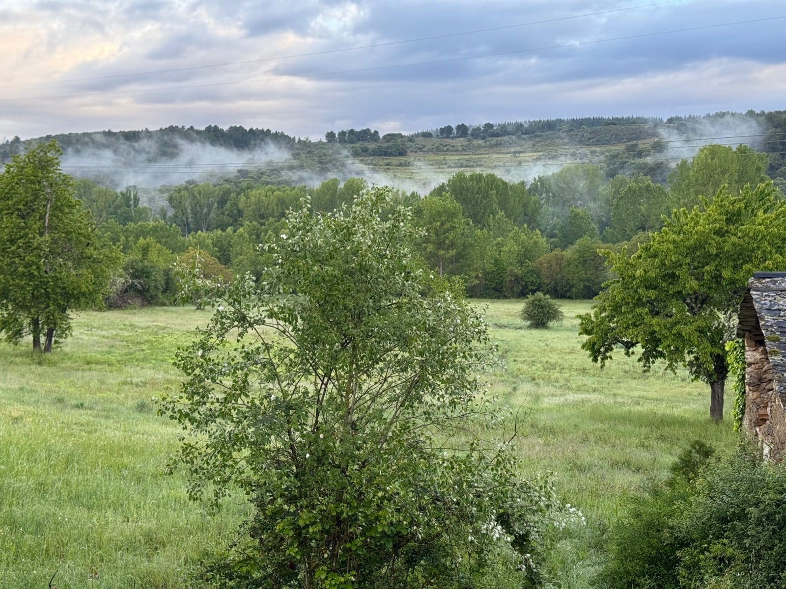 Misty countryside near Ponferrada after morning rain