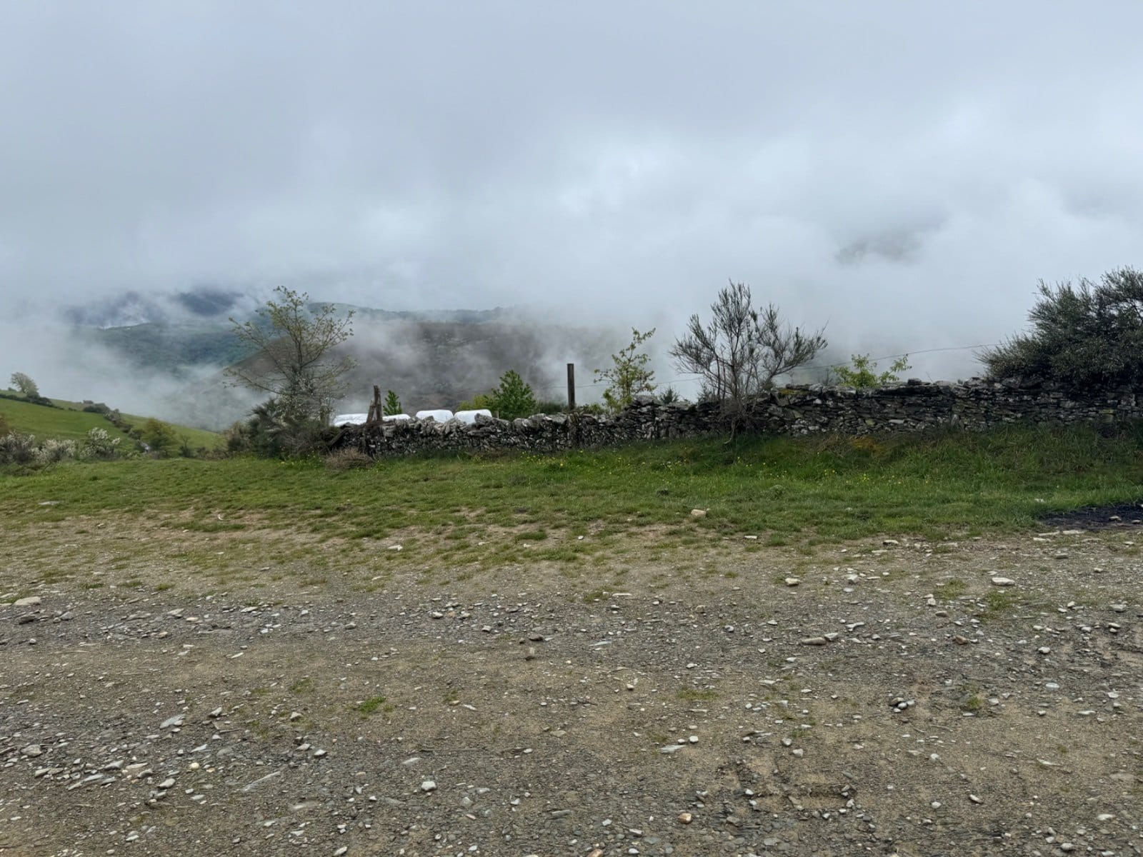 Cloud-shrouded pastoral landscape near Fonfría