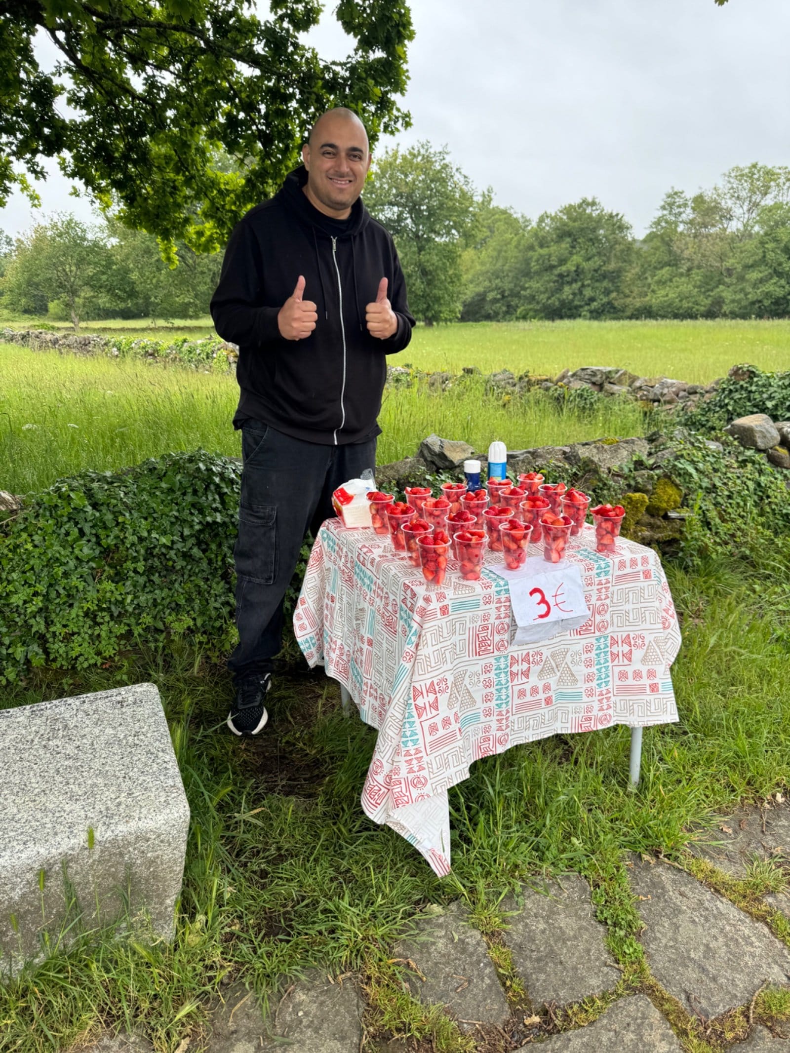 Fresh strawberry vendor on the Camino path