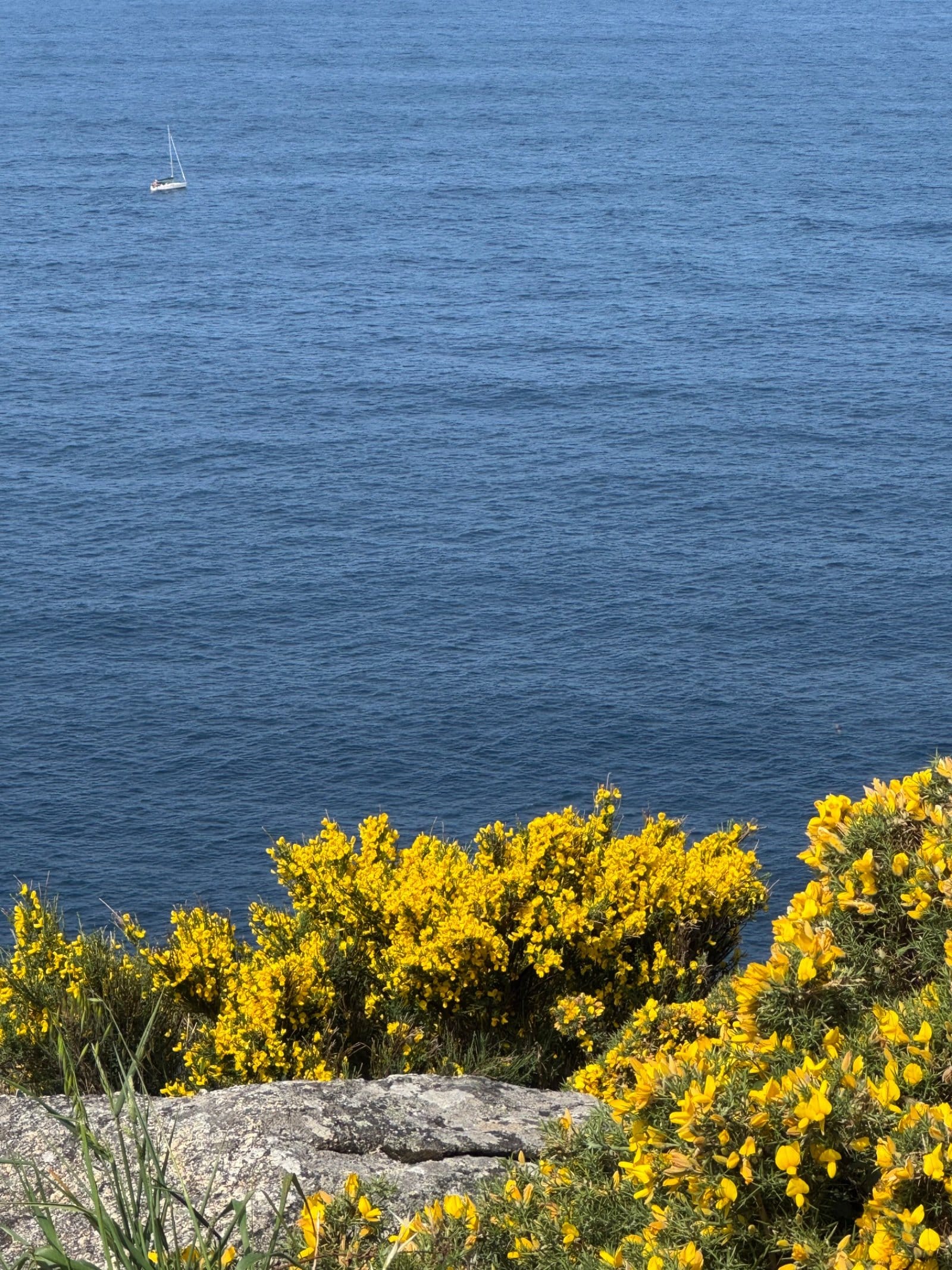 Sailboat in Atlantic waters off Finisterre coast