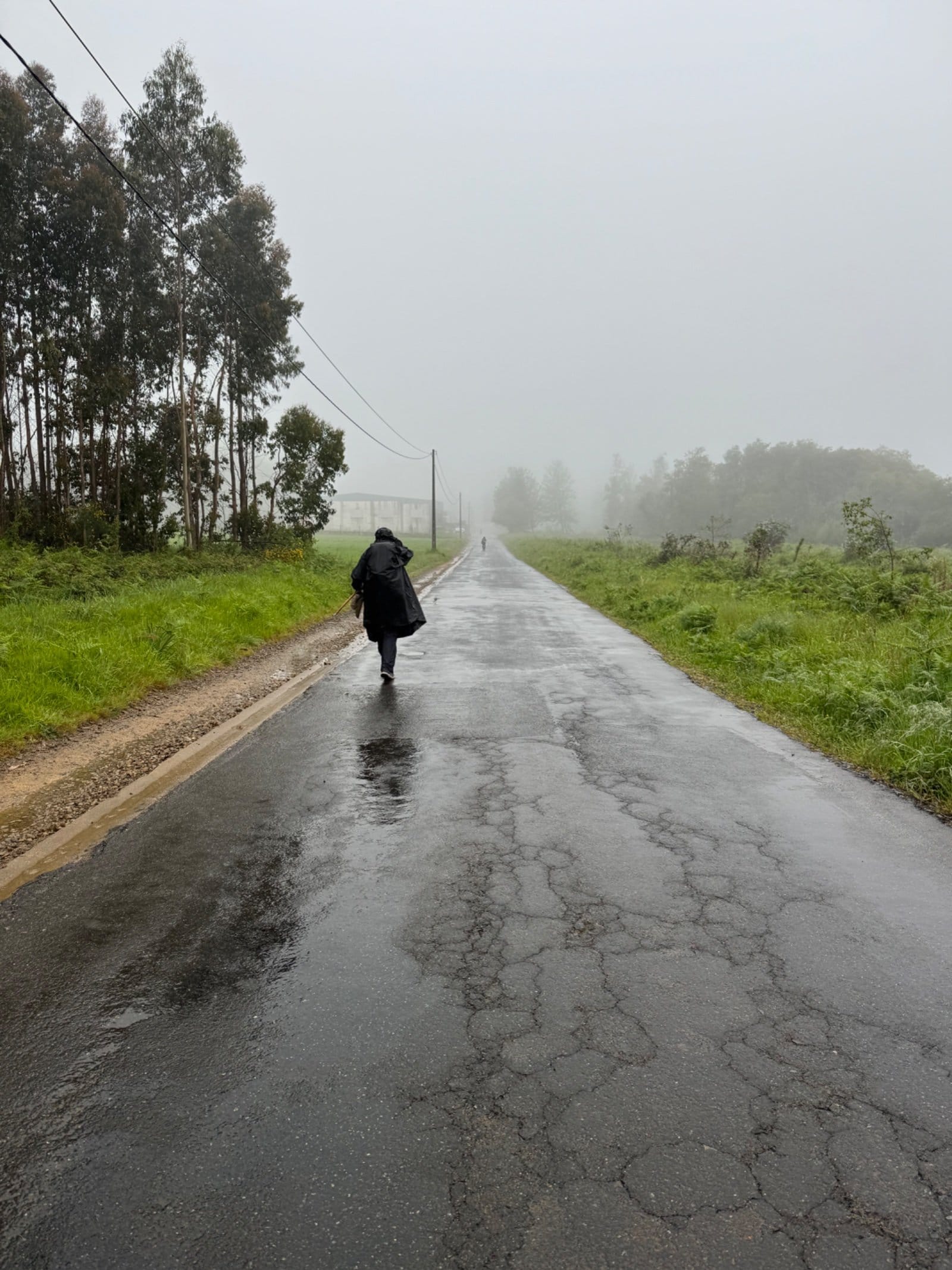 Rainy Camino road near Santiago