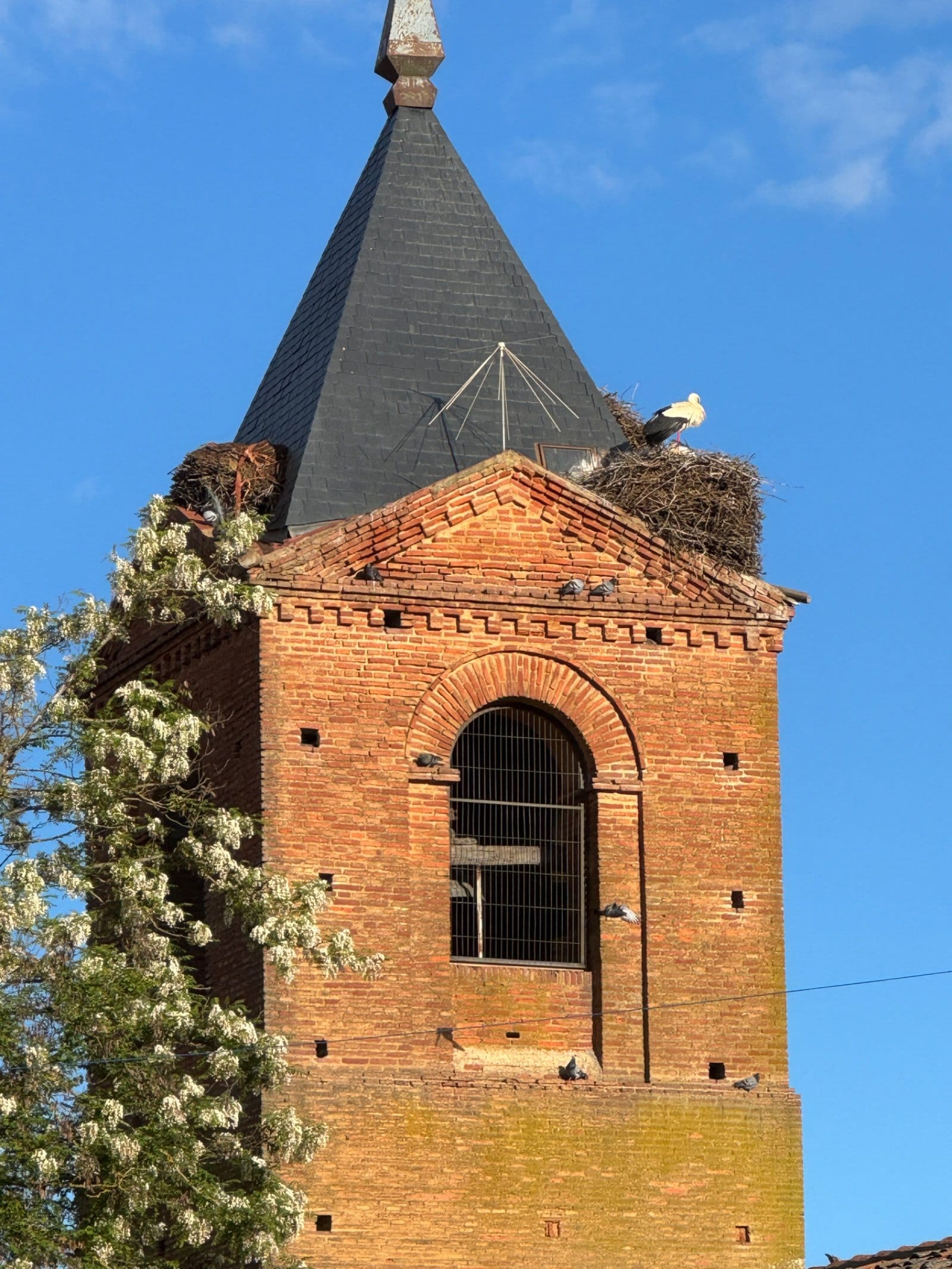 Church bell tower with stork nests in Mansilla