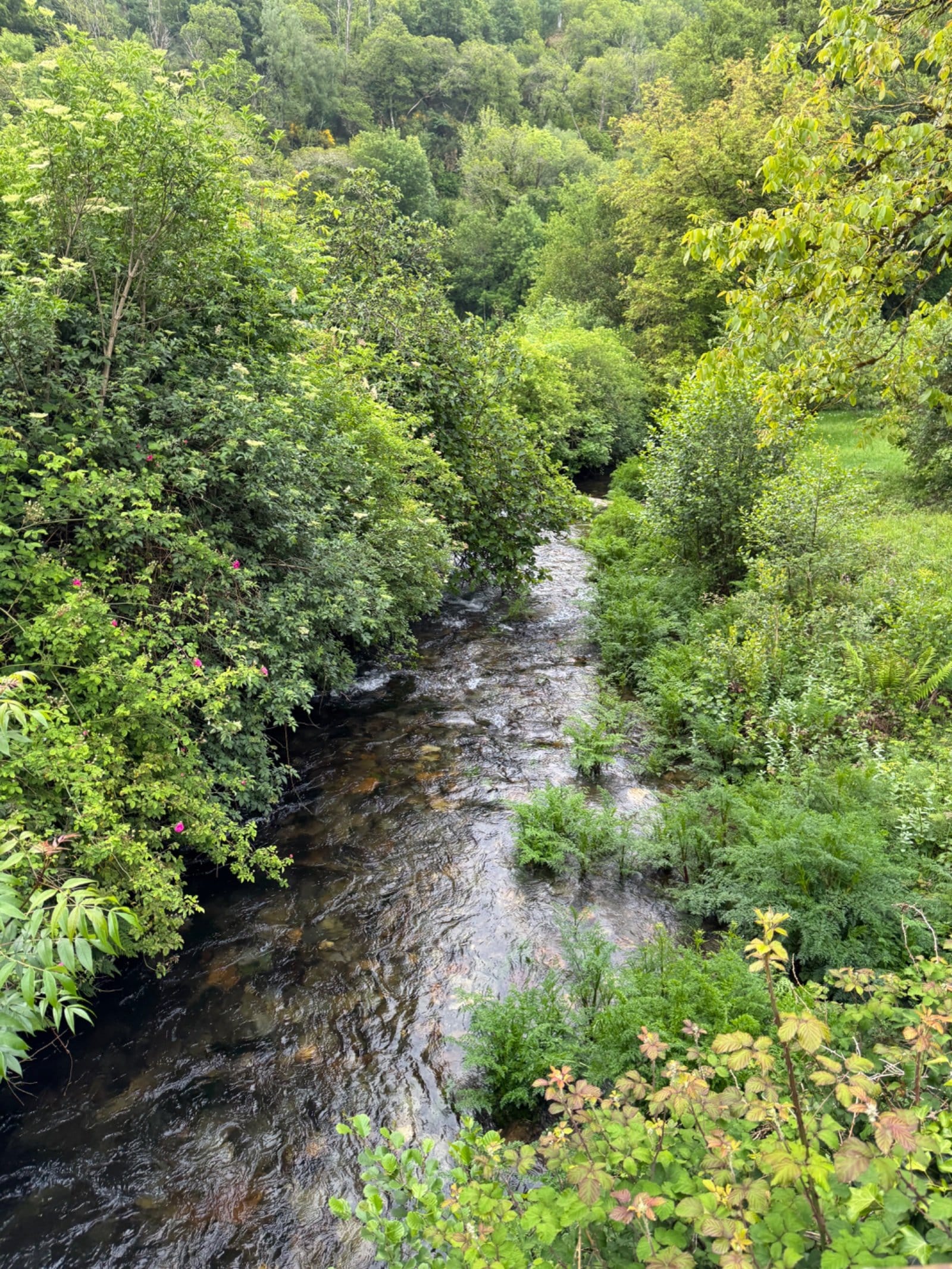 Rocky stream near Samos monastery