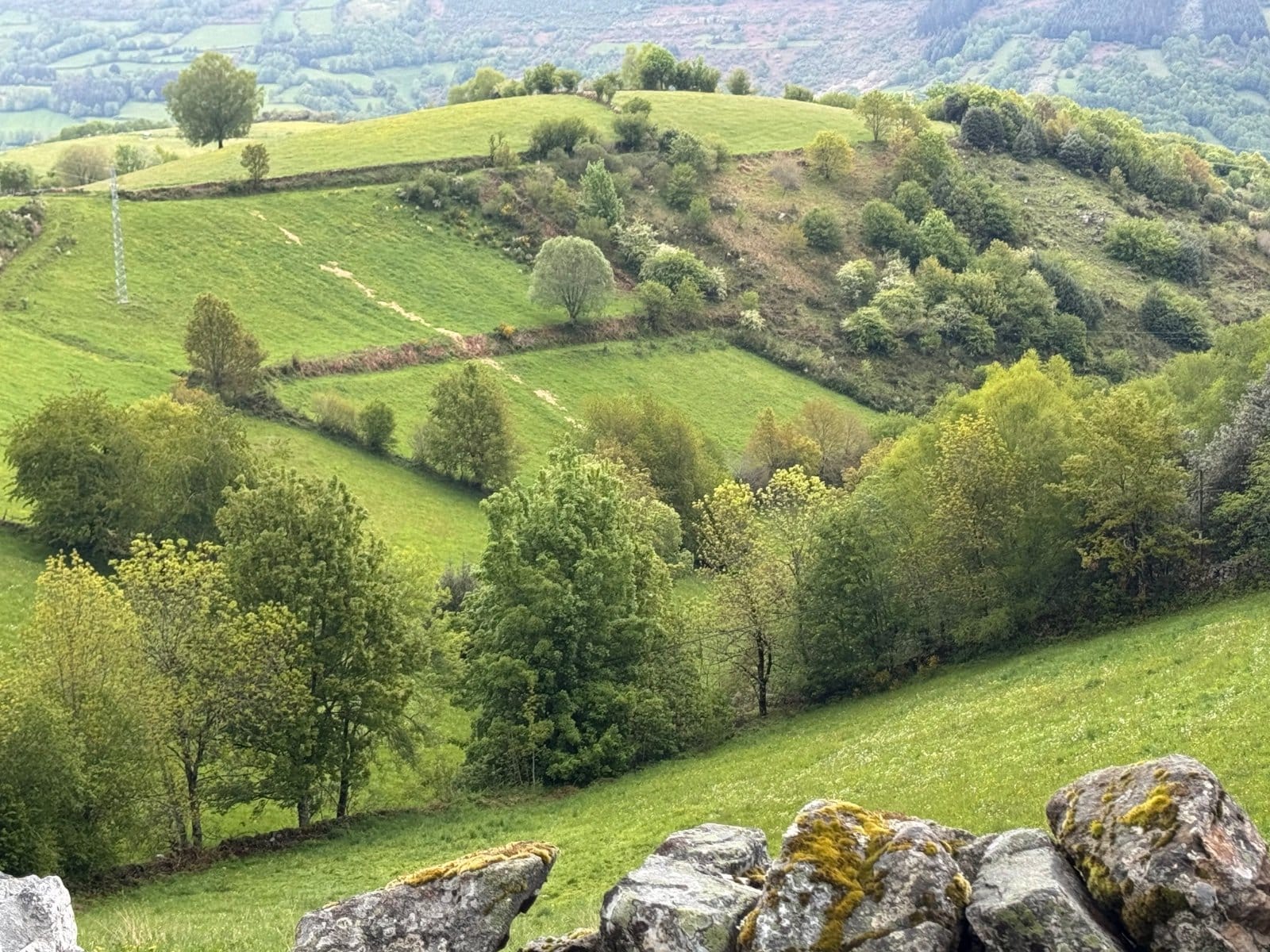 Galician countryside with brilliant green fields