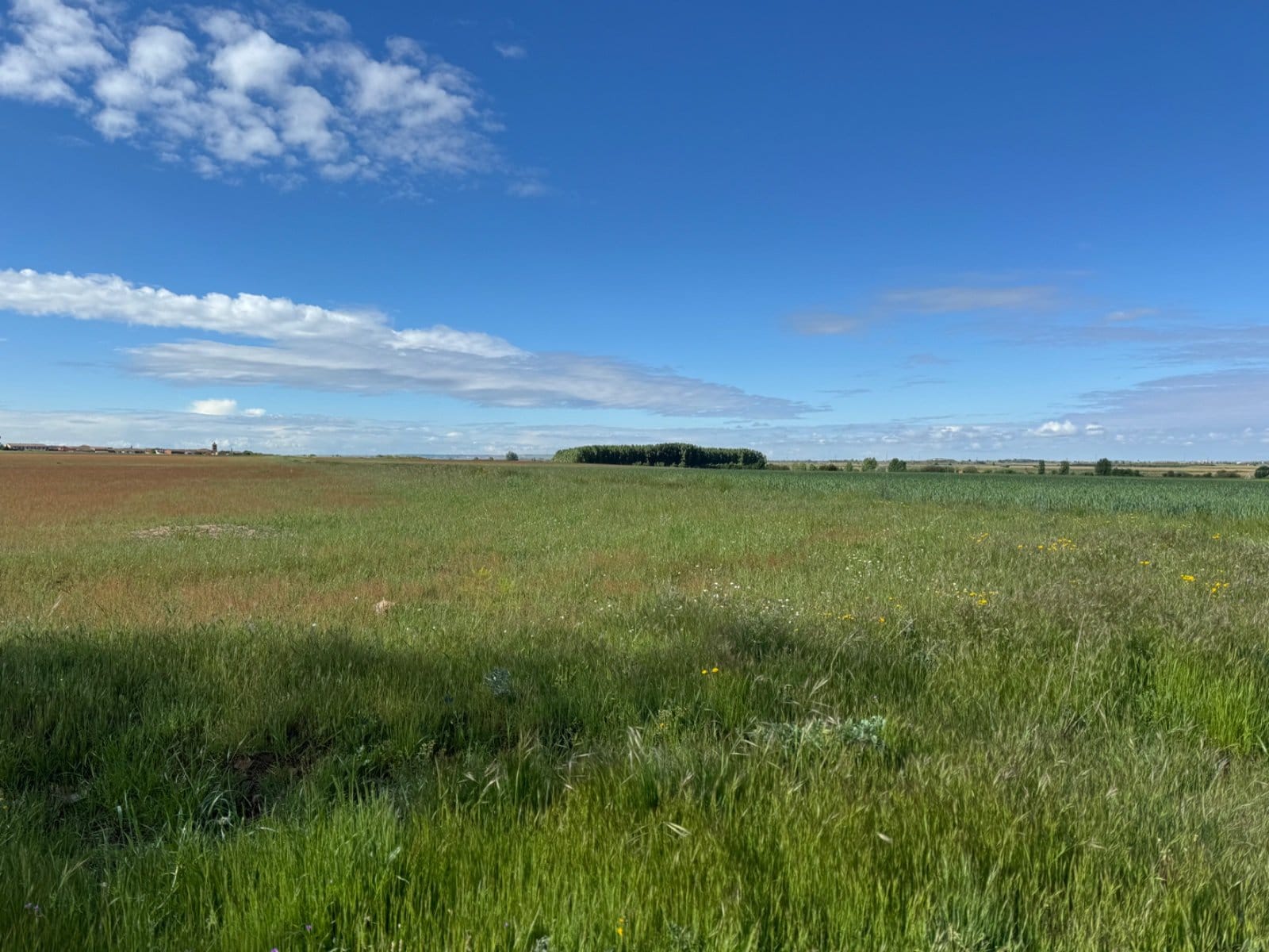 Endless flat fields of the Meseta landscape