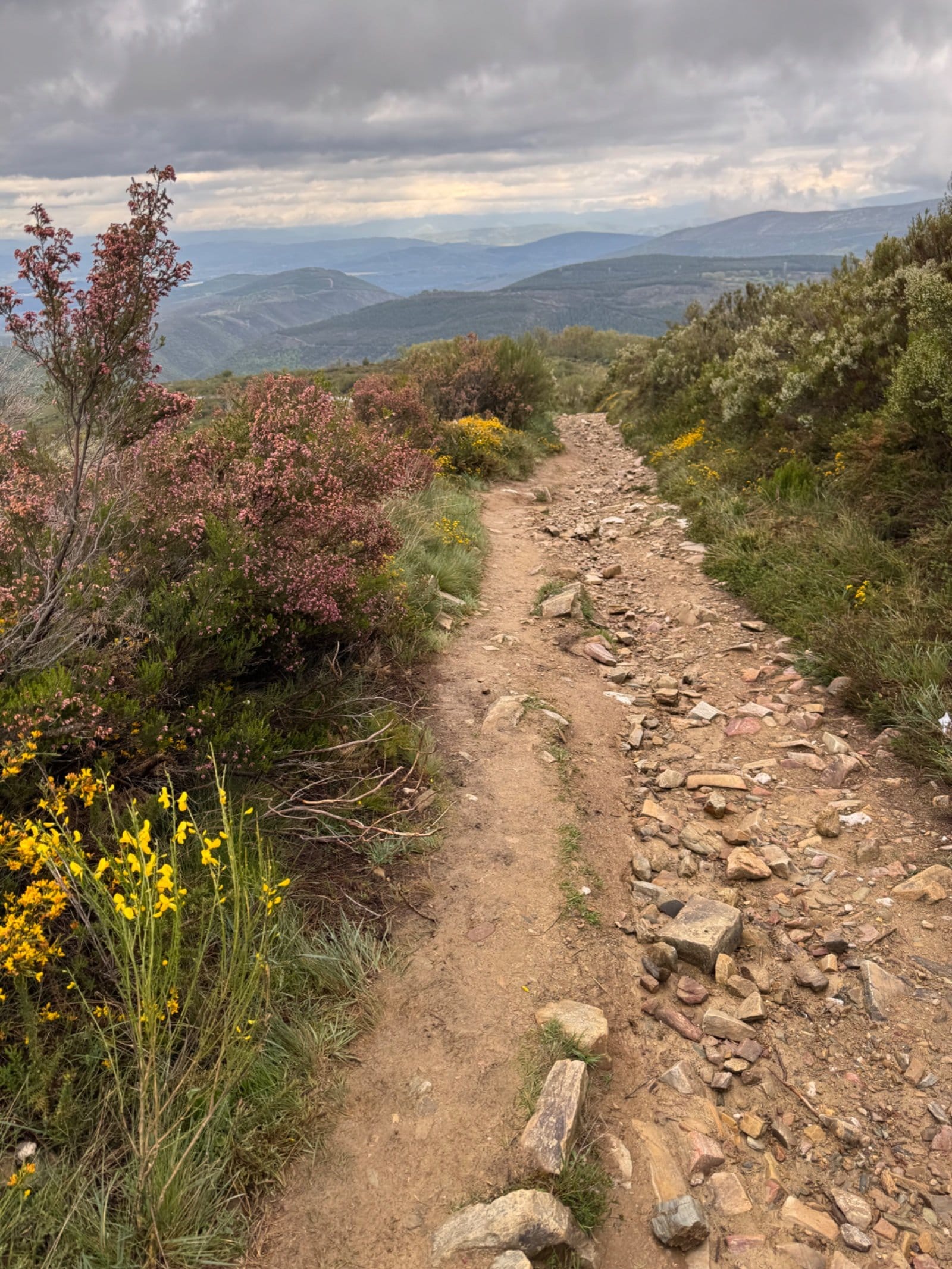 Stone-paved descent with mountain backdrop