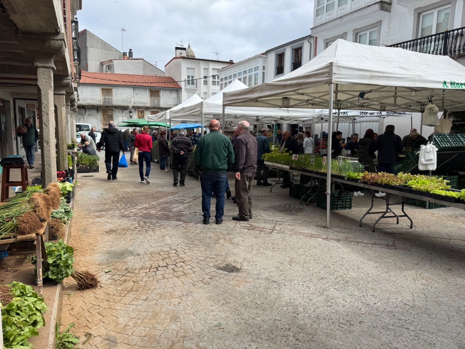 Wednesday market in Arzúa town square