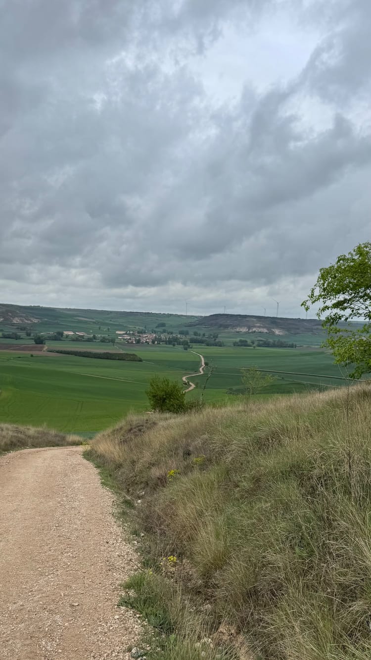 The Path Ahead