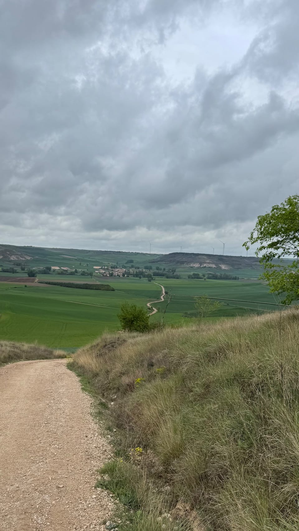 The Path Ahead