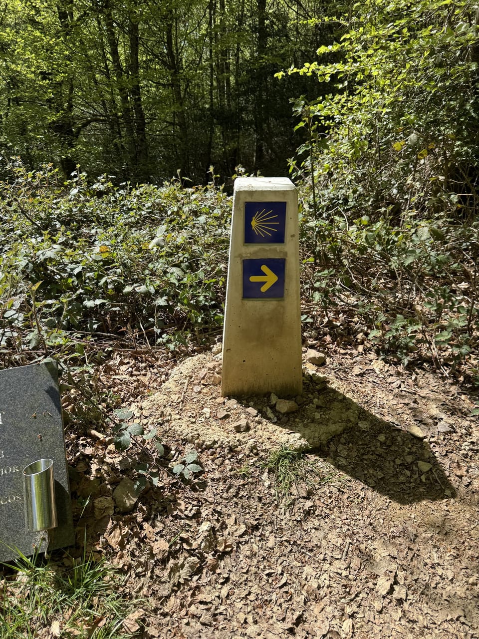 Saint Jean Pied de Port to Roncesvalles: Day 1