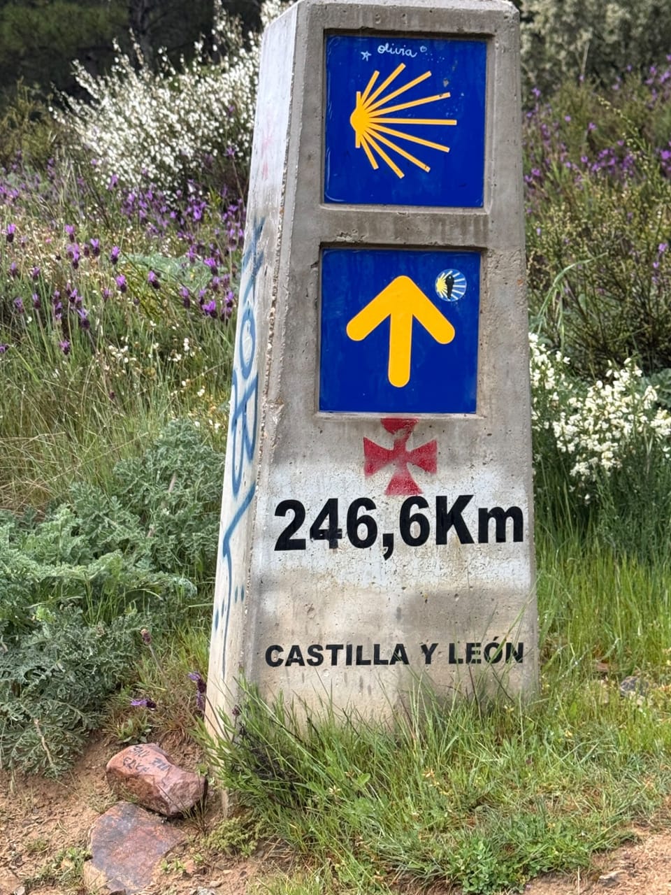 Astorga to Foncebadón, 16 miles